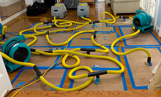 Professional Flood Damage Restoration technician working in Richmond, TX